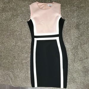 Calvin Klein Bodycon Dress